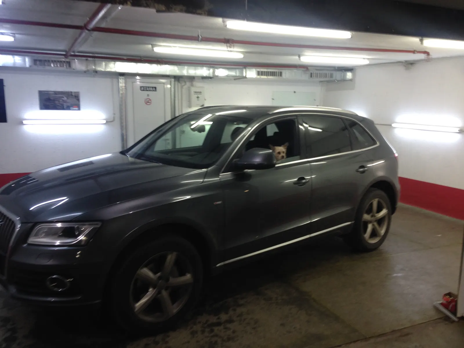 Montaj folie auto Audi Q5 Daytona Gray – Tinted Window